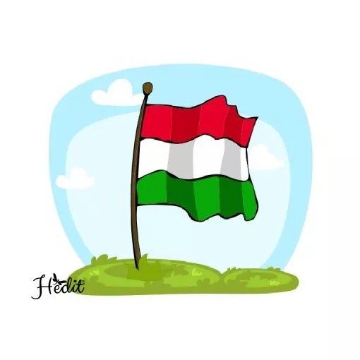 Zászlós felvasalható matrica